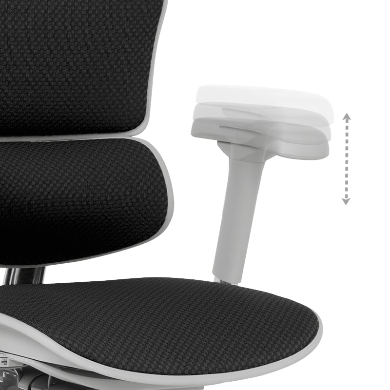 Ергономичен офис стол Ergohuman Elite 2 дамаска черен-сива рамка